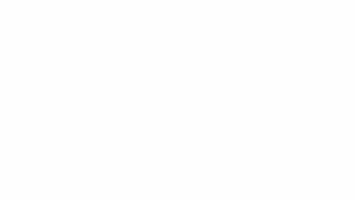 Logo設計案例-龍運貨運有限公司