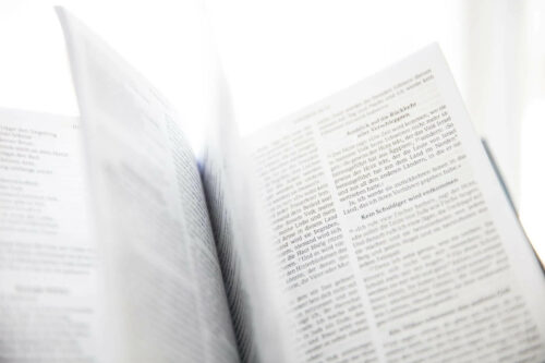 pexels photo 954198